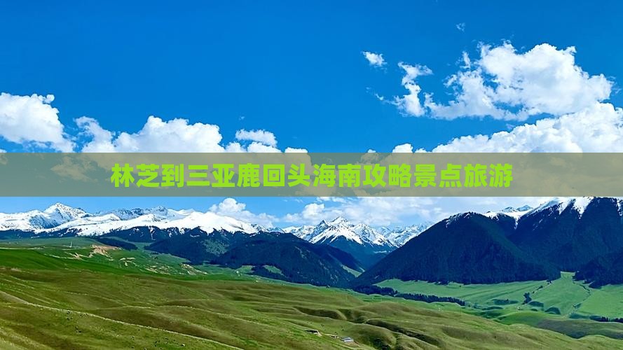 林芝去三亚鹿回头哪里玩