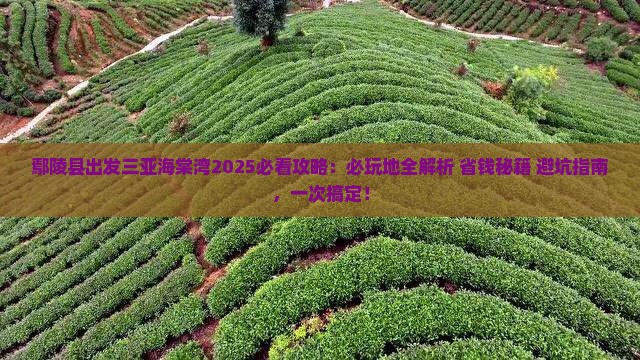 鄢陵县出发三亚海棠湾必玩地