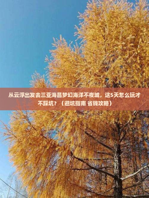 云浮去三亚海昌梦幻海洋不夜城旅游