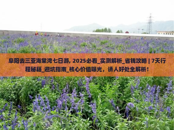 阜阳去三亚海棠湾七日游