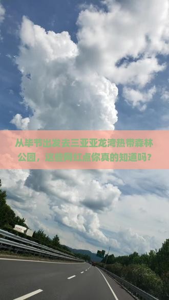 毕节出发三亚亚龙湾热带森林公园旅游网红地点