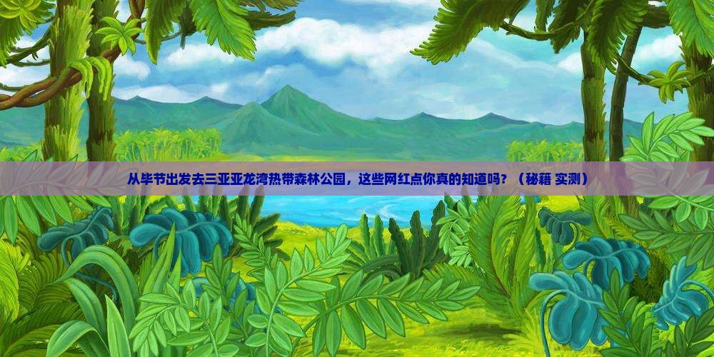 毕节出发三亚亚龙湾热带森林公园旅游网红地点