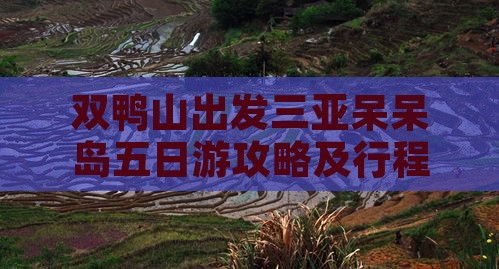双鸭山出发三亚呆呆岛五日游