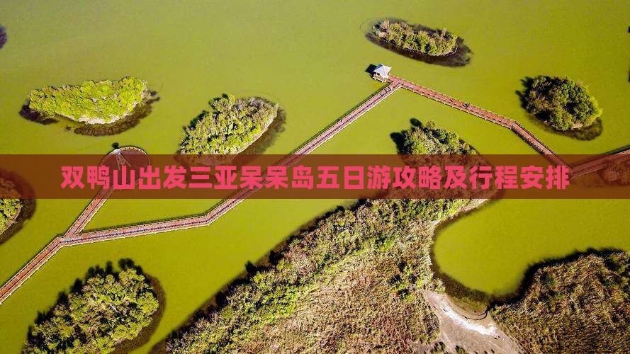 双鸭山出发三亚呆呆岛五日游