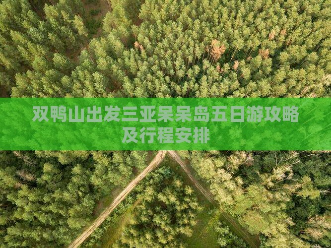 双鸭山出发三亚呆呆岛五日游