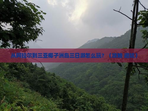 阿拉尔去三亚椰子洲岛三日游