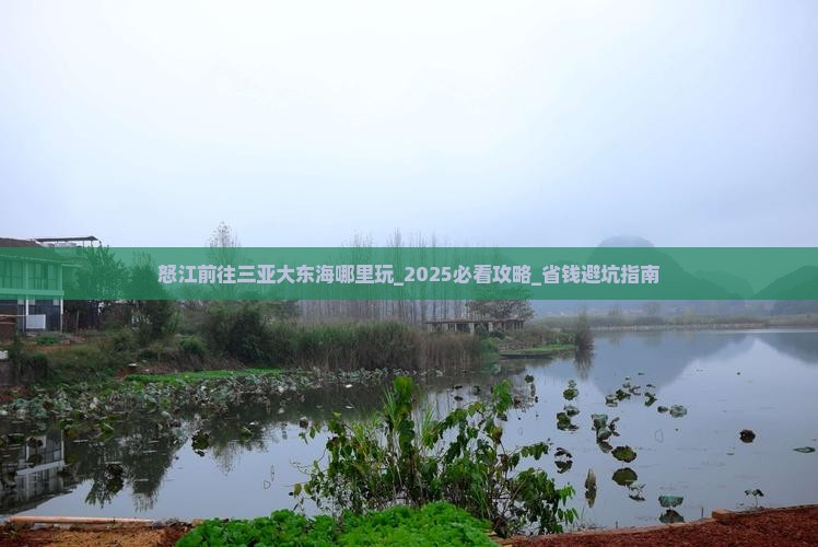 怒江前往三亚大东海哪里玩