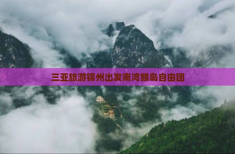 锦州出发三亚南湾猴岛自由团