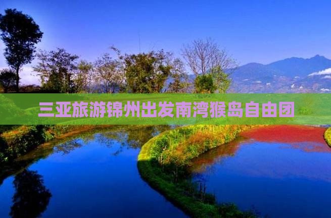锦州出发三亚南湾猴岛自由团