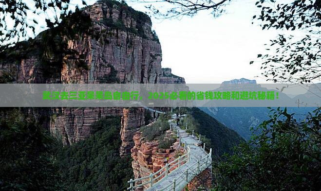 武汉去三亚呆呆岛自由行
