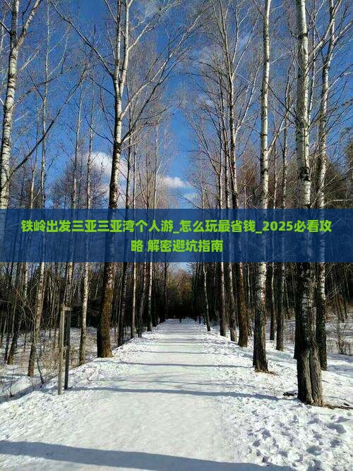 铁岭出发三亚三亚湾个人游
