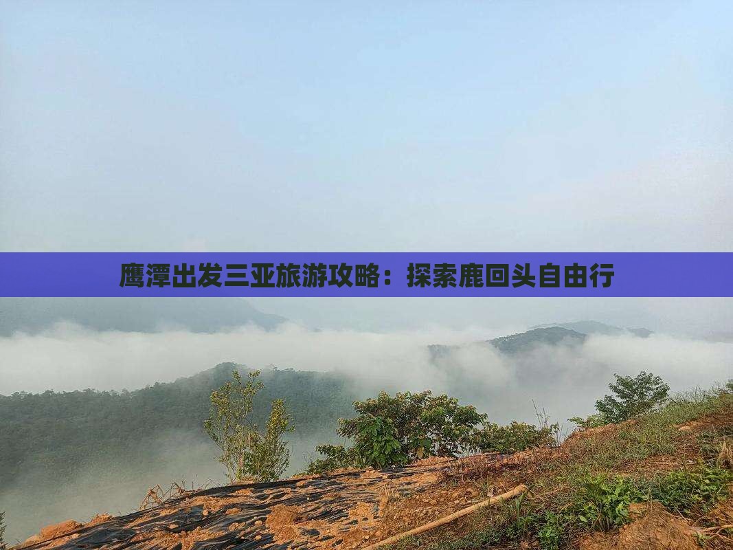 鹰潭出发三亚鹿回头自由行
