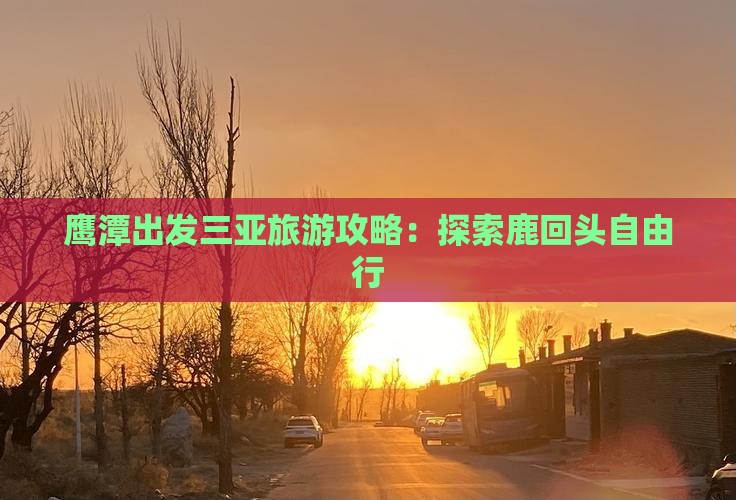 鹰潭出发三亚鹿回头自由行