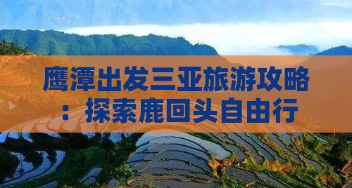 鹰潭出发三亚鹿回头自由行