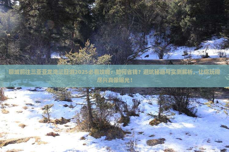 聊城前往三亚亚龙湾三日游