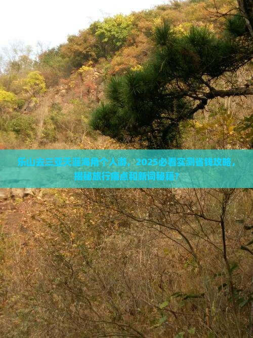 乐山去三亚天涯海角个人游 乐山去三亚天涯海角个人游