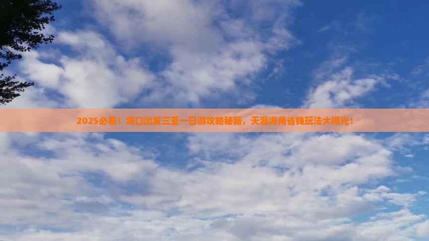 海口出发三亚天涯海角一日游