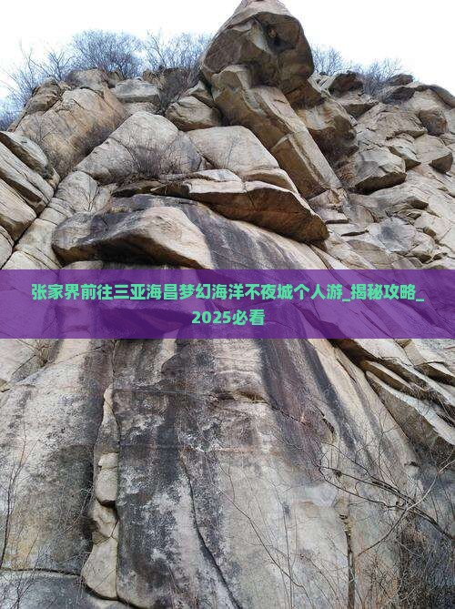 张家界前往三亚海昌梦幻海洋不夜城个人游