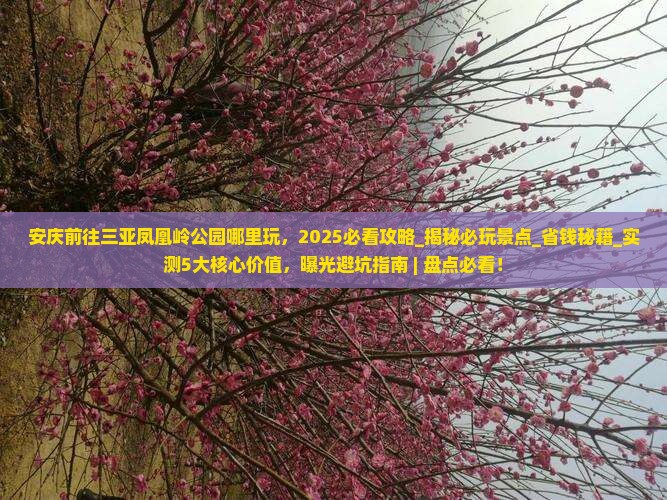 安庆前往三亚凤凰岭公园哪里玩