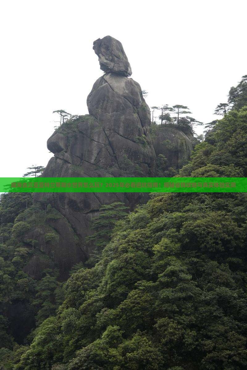 威海去三亚亚特兰蒂斯水世界哪里玩