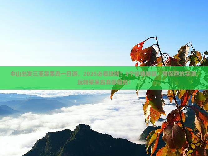 中山出发三亚呆呆岛一日游