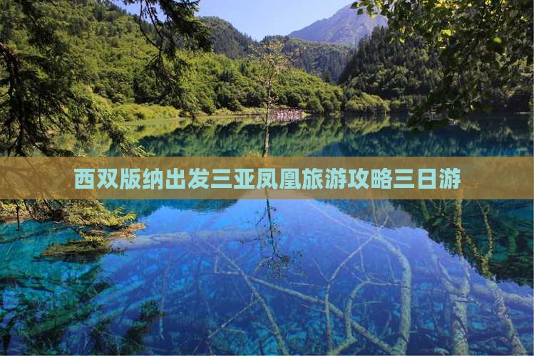 西双版纳出发三亚凤凰岛三日游