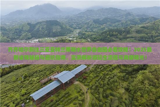 齐齐哈尔前往三亚亚特兰蒂斯水世界自由团