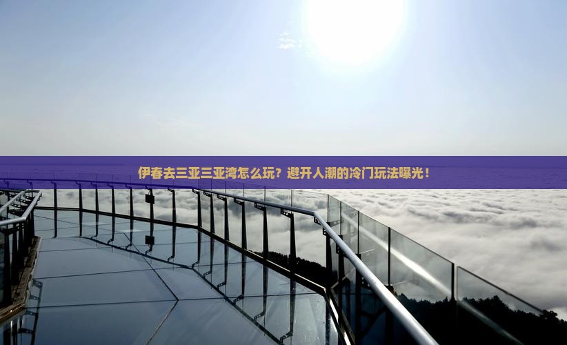 伊春去三亚三亚湾哪里玩