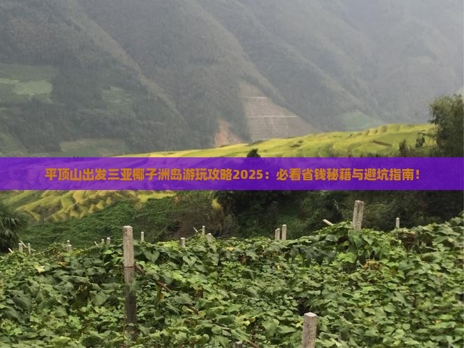 平顶山出发三亚椰子洲岛哪里玩