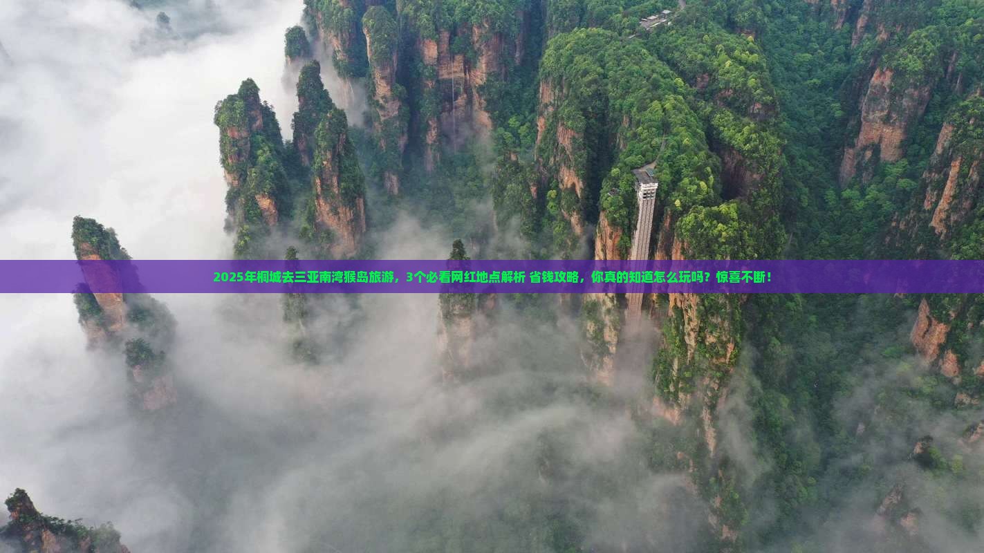 桐城去三亚南湾猴岛旅游网红地点