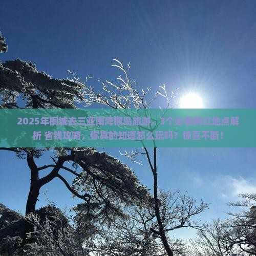 桐城去三亚南湾猴岛旅游网红地点