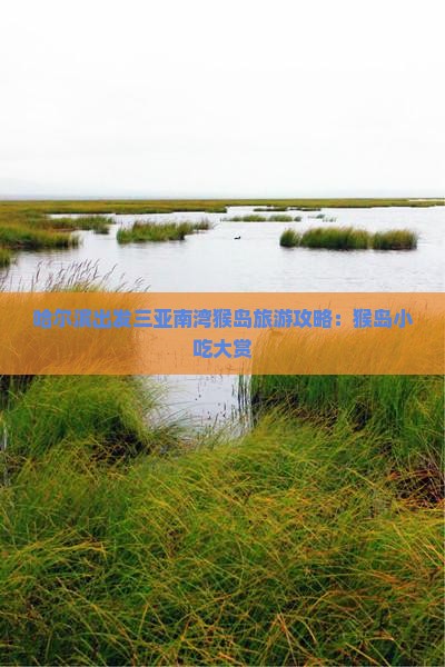 哈尔滨出发三亚南湾猴岛旅游小吃