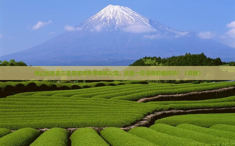 佛山去三亚亚龙湾热带森林公园一日游