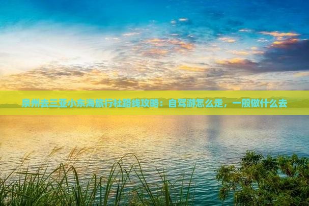 泉州去三亚小东海旅行社