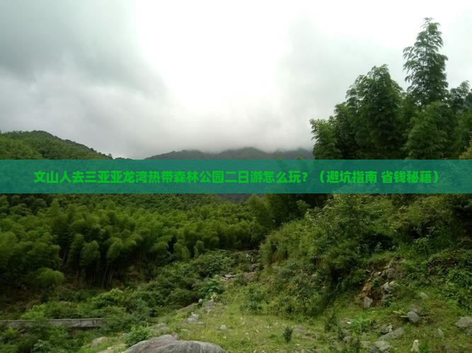 文山去三亚亚龙湾热带森林公园二日游