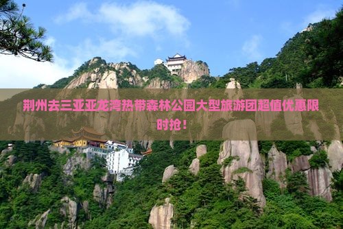 荆州去三亚亚龙湾热带森林公园大型旅游团