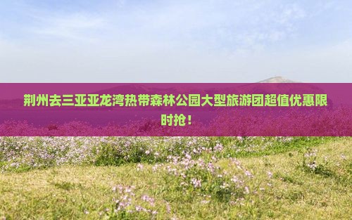 荆州去三亚亚龙湾热带森林公园大型旅游团