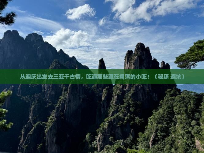 迪庆出发三亚千古情旅游小吃
