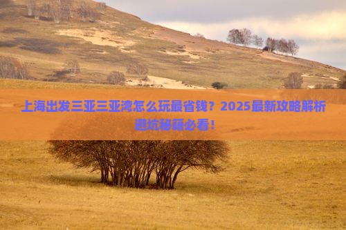 上海出发三亚三亚湾哪里玩