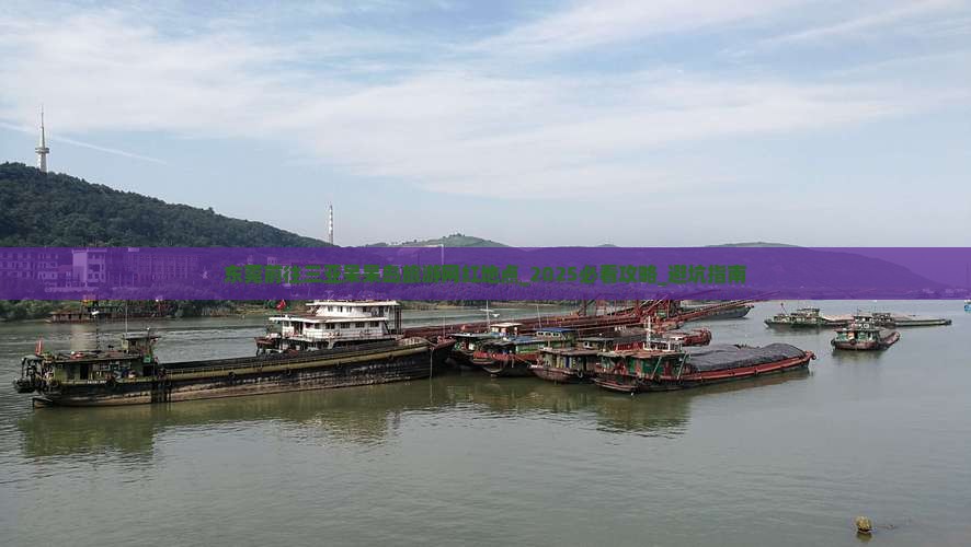 东莞前往三亚呆呆岛旅游网红地点