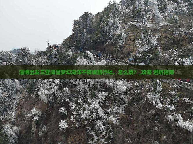 淄博出发三亚海昌梦幻海洋不夜城旅行社