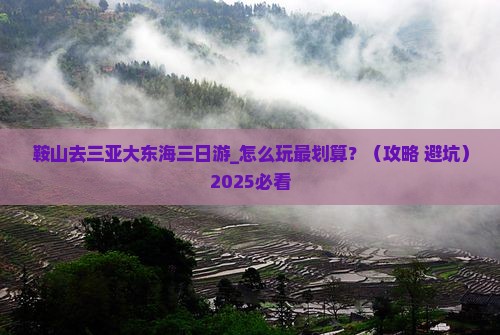 鞍山去三亚大东海三日游
