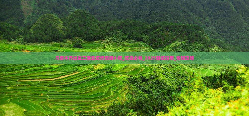 乌鲁木齐出发三亚亚龙湾旅游小吃