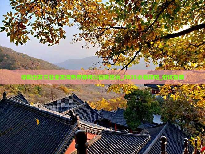 德阳出发三亚亚龙湾热带森林公园哪里玩