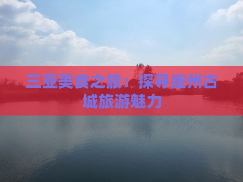 阿拉善盟前往三亚崖洲古城旅游小吃