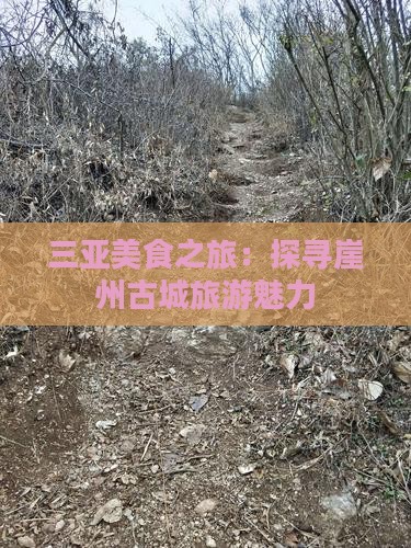 阿拉善盟前往三亚崖洲古城旅游小吃