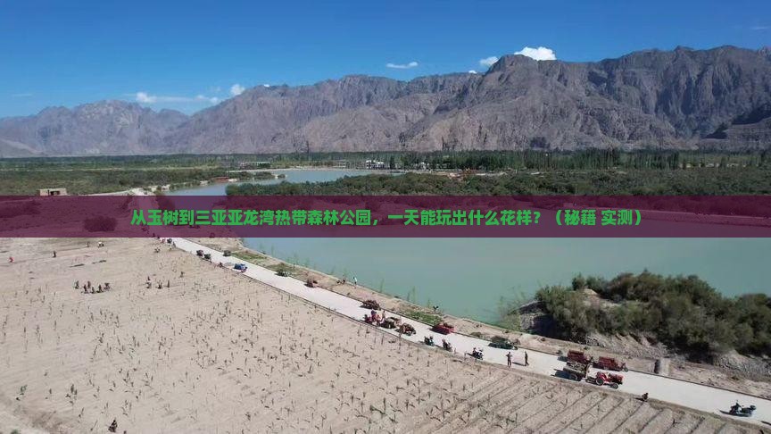 玉树去三亚亚龙湾热带森林公园一日游