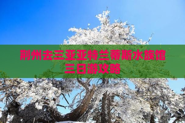 荆州去三亚亚特兰蒂斯水族馆三日游