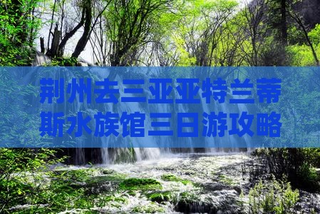 荆州去三亚亚特兰蒂斯水族馆三日游