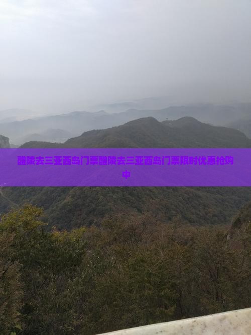 醴陵去三亚西岛门票